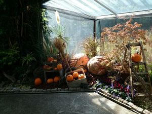 須磨離宮 温室ハロウィン装飾1