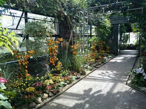 季節の花も実りの秋に