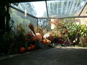 須磨離宮 温室ハロウィン装飾2