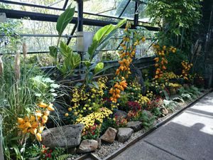 実物やススキで秋色に