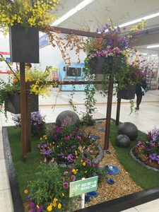 インドアガーデン２