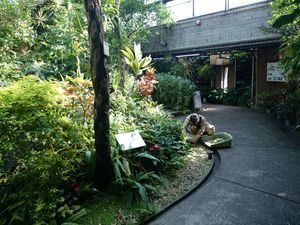 新人現場スタート2