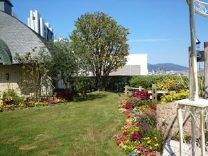 チャペル周辺花壇