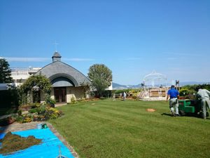 芝生オーバーシード