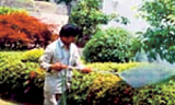 service_img07