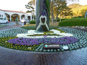 花づつかがみ (6)